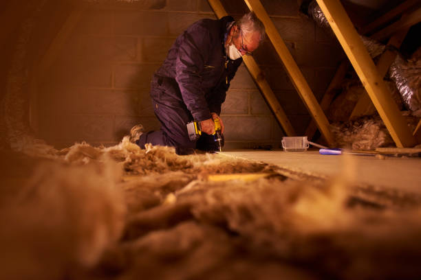 Best Insulation Repair Services  in USA