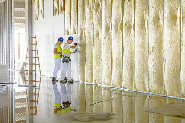 Best Garage Insulation Installation  in USA